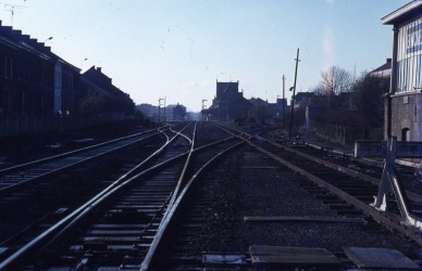 Binche - TH 81-8653.jpg
